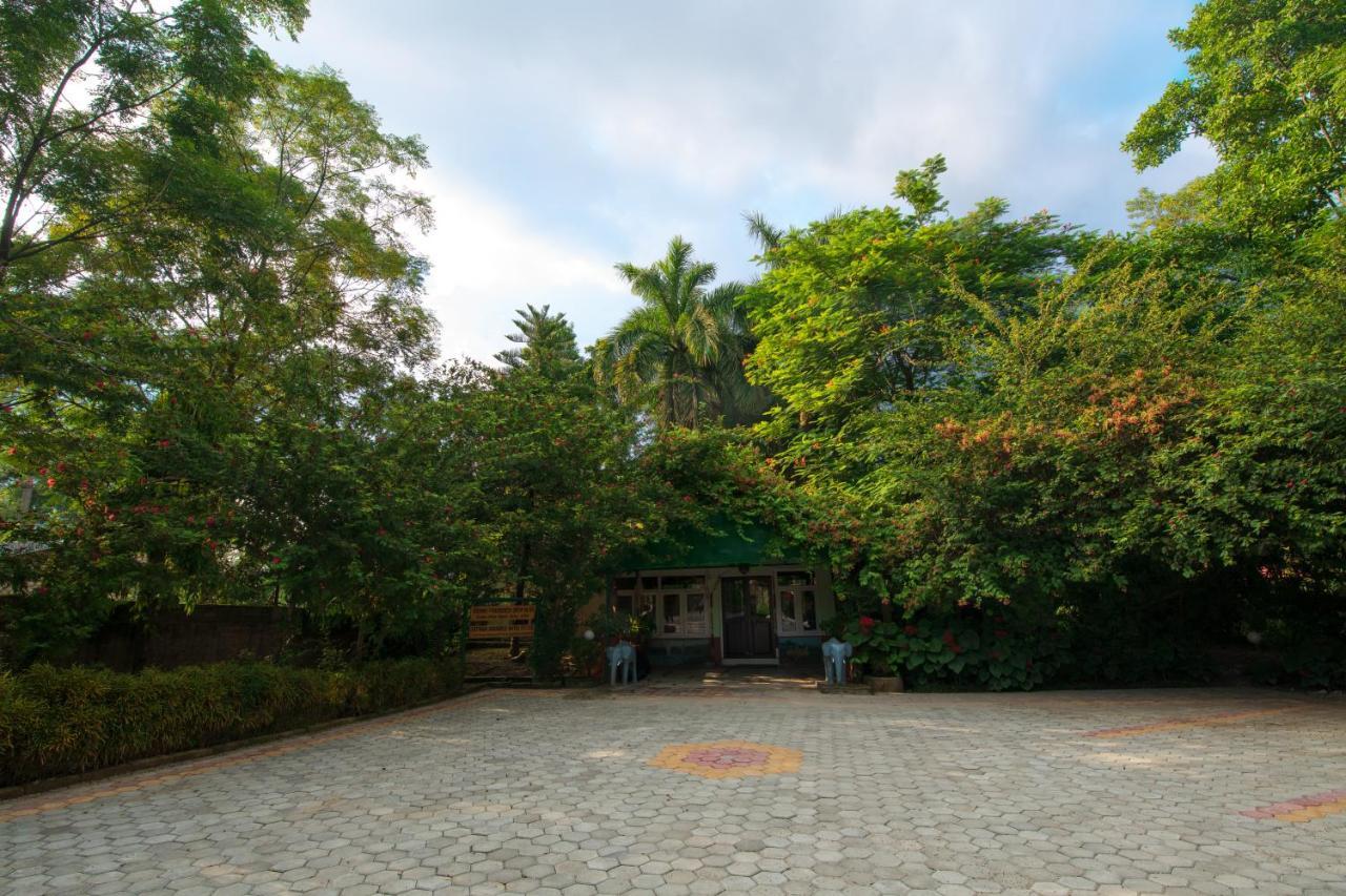 Chitwan Paradise Hotel Sauraha Εξωτερικό φωτογραφία
