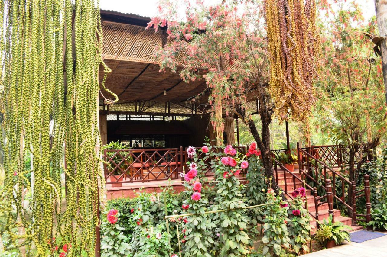 Chitwan Paradise Hotel Sauraha Εξωτερικό φωτογραφία