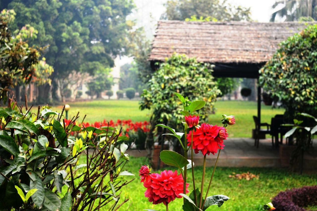 Chitwan Paradise Hotel Sauraha Εξωτερικό φωτογραφία
