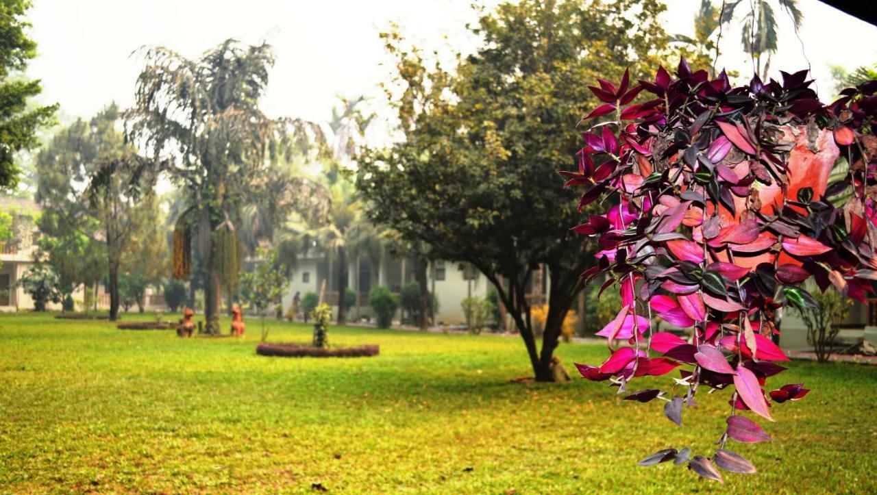 Chitwan Paradise Hotel Sauraha Εξωτερικό φωτογραφία