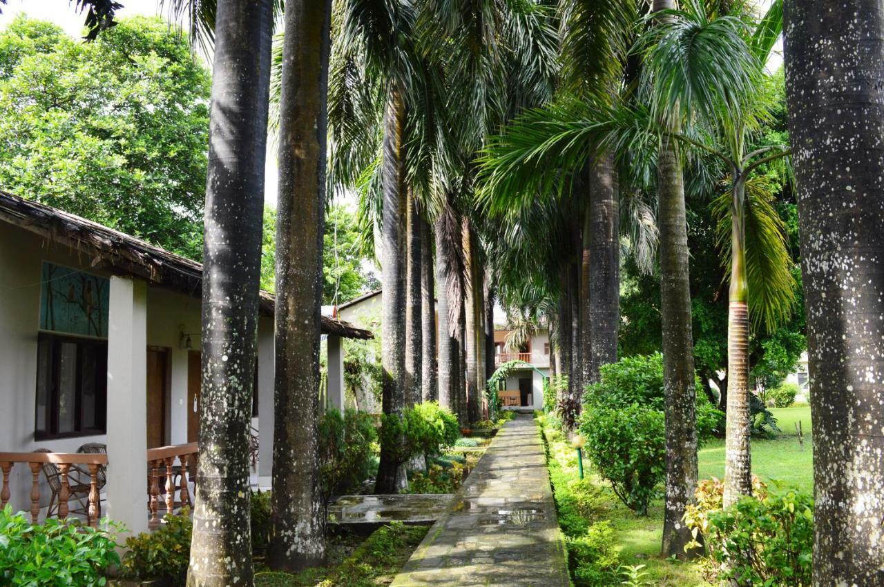 Chitwan Paradise Hotel Sauraha Εξωτερικό φωτογραφία